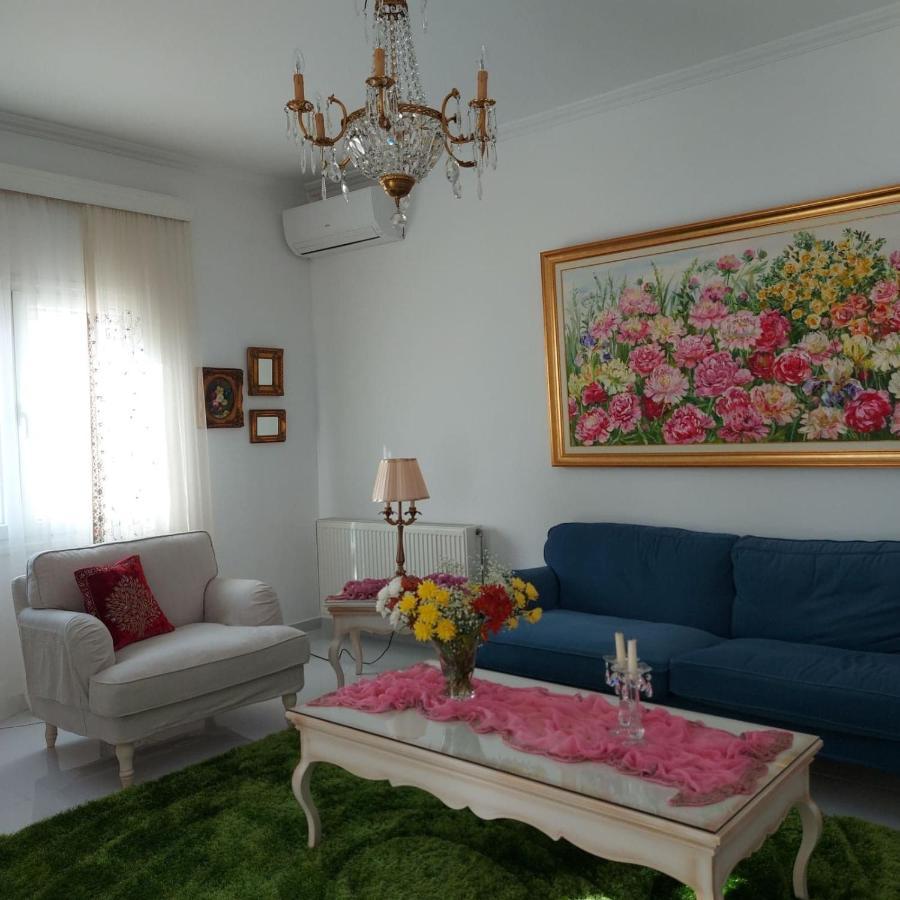Nn & Near Athens Airport Villa *