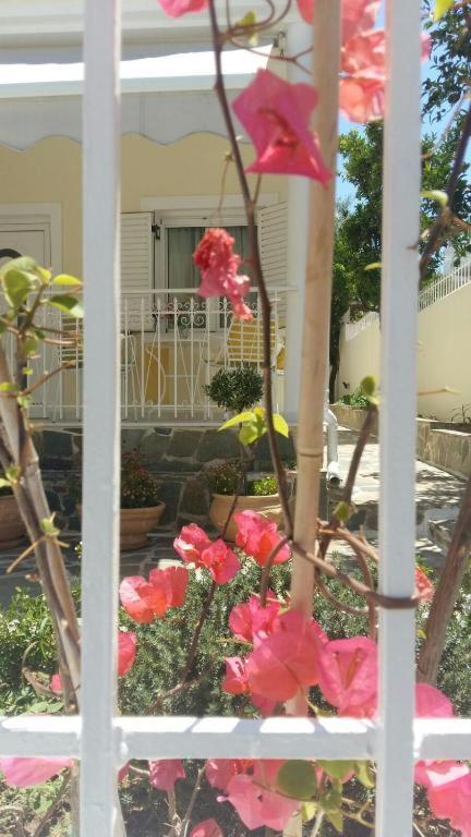 Nn & Near Athens Airport Villa Spata (East Attica)